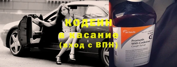 прущие крисы Бородино