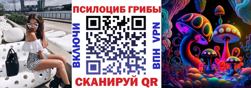 блэк спрут ссылки Еманжелинск Галлюциногенные грибы мицелий